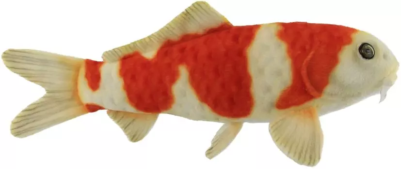 BH8308 HANSA Nishikigoi Красный и Белый 35