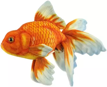 BH8539 HANSA Рюкин 34