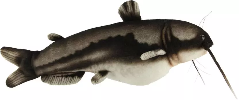 BH8582 HANSA Сом 37