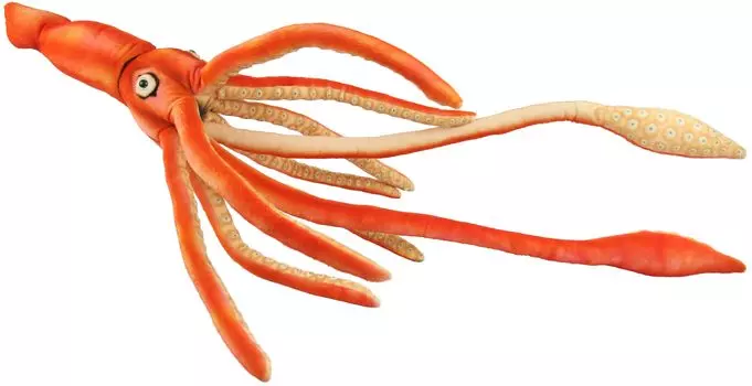 BH8584 HANSA giant squid 65
