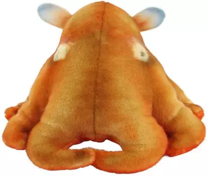 BH8587 HANSA Мендако 27