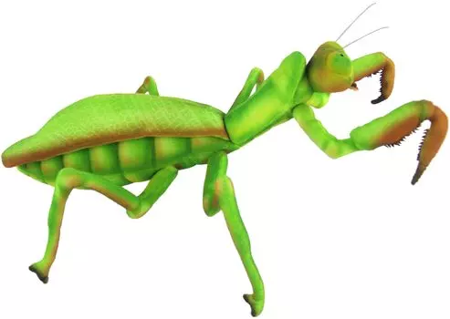 BH8588 HANSA Богомол 43