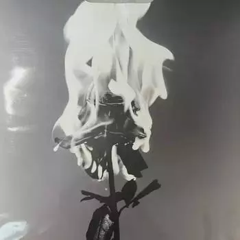 Би Би Лав Или Любимый Реальный Пакет Вер. Продано