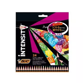 Bic Japan Bic цветной карандаш раскраска для взрослых мягкий яркий интенсивность 24 цвета ITS-DUTCMPK12