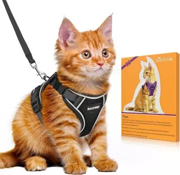 Bigcow Cat Кошачья шлейка Поводок для кошек Тяговый поводок для кошек Торс для кошек Мягкая грудь Можно носить, не пропуская через регулируемую ночную вентиляцию Кашель чёрный