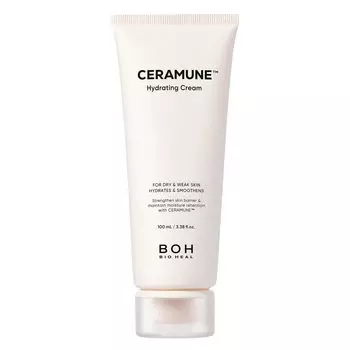 BIOHEAL BOH Silk Skin увлажняющий крем 100 мл Увлажняющий [крем Seramune]