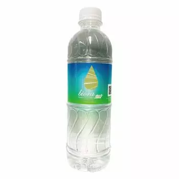Biola Silica Plus 500 мл 24 бутылки Silica P24 90 мг/л [Флаконы с силикагелем]