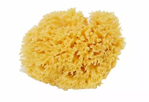 Бисквит Bellini Natural Sponge Спонж Ячеистый Тип Желтый Размер M