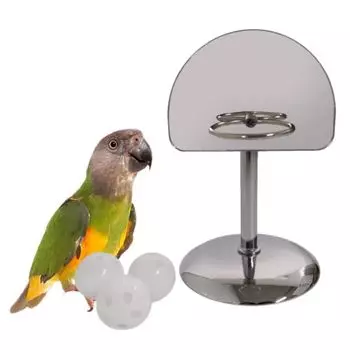 Bite Resistant Parakeet Balls Puzzle Game Metal Parrot Basketball Frame Playing серебряный