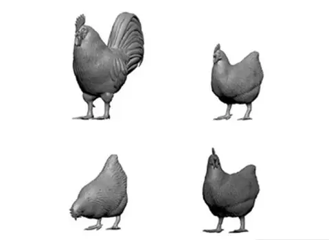 Black Dog Rooster Chicken Set 3D Printer Resin Parts HAU3D35022 1/35 & (Military)