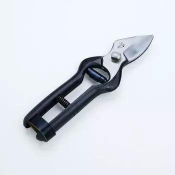 Blacksmith handmade pruning shears Munehiro Tsugaru type