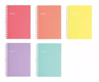 Блокнот Licht Twist с дюймовым шагом серии A6 вертикальный тип 17 отверстий 5 цветов 5 цветов 5 книг набор 1/3 (Тип S) N1964-2/3/5/10/19