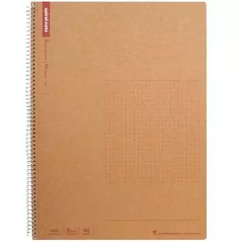 Блокнот Maruman Note Ring 5 мм в линейку, базовый формат A4, 40 листов, набор из 5 книг N245
