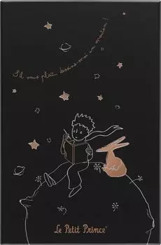 Блокнот Moleskine The Little Prince Блокнот в твердом переплете в горизонтальную линейку большого размера 13 см x высота черная подарочная коробка LEPP04QP060BOX (Ширина 21см)