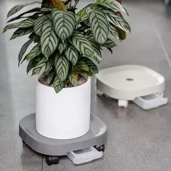 Блюдце для растений, удобное с роликовым колесом, антидеформируемый, трудосберегающий цветочный горшок, аксессуар для двора 22cm