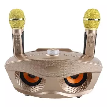 Bluetooth-динамик для дома, караоке, Bluetooth-динамик с двумя микрофонами (Золото) золотой