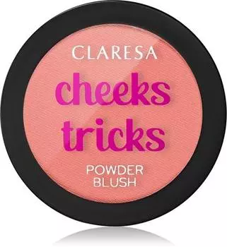 blush poudre TU прозрачный