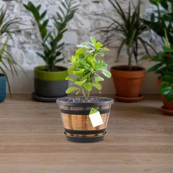 Бочка-кашпо с дренажными отверстиями и поддоном для домашнего сада 14.1 cmx13.93 cm