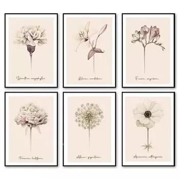 Бохо бежевый одуванчик растение цветок минимализм плакат эстетика принты настенная живопись на холсте галерея гостиная домашний декор 21x30cm No Framed