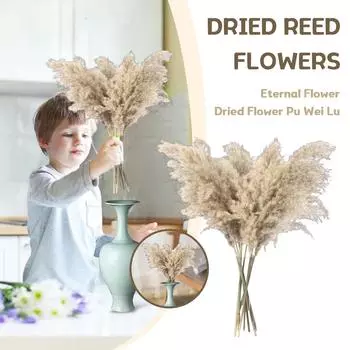 Большой букет из сухоцветов. Настоящий цветок. Бессмертный цветок. Ветер. Сухоцвет. Рогоз. One Size белый
