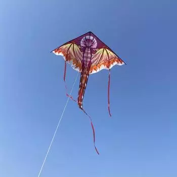 Большой воздушный змей-дракон для детей и взрослых, легко управляемый, большой огромный воздушный змей-дракон, с хвостом, легко управляемый воздушный змей, игрушка для улицы красный