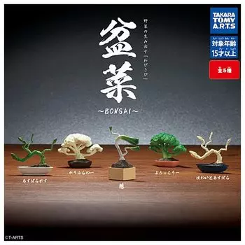 Bonsai BONSAI of 5 types Gacha Gacha Capsule Toy [Set (full complete)]
