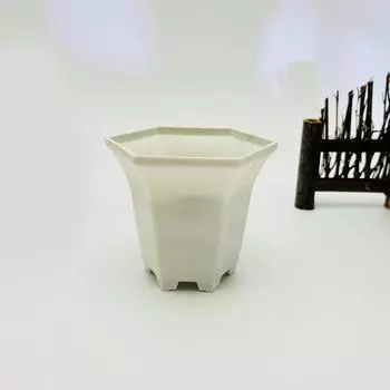 Bonsai Hexagonal Geometric Plastic Plant Flower Pot For Living Room And Office White High Hex Pot