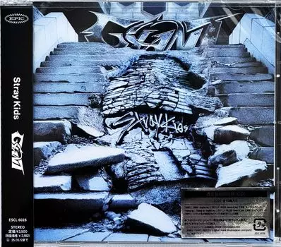 Bonus GIANT Edition Card C of 8 randomly included for each Serial Number 1 Original Double Acrylic Keychain of 8 randomly [External Included] [Regular