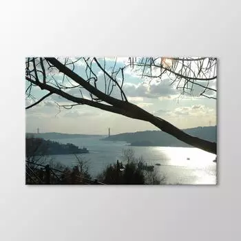 Босфор Живопись