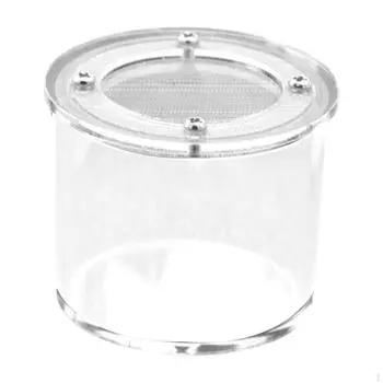 Box Reptile Breeding Acrylic Practical Sturdy Terrarium Enclosure for Silkworm Scorpion Round