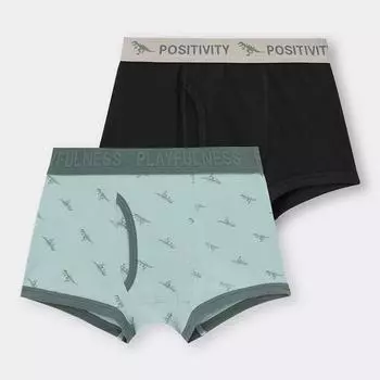 Боксеры для мальчиков GU by Uniqlo 2P Dinosaur