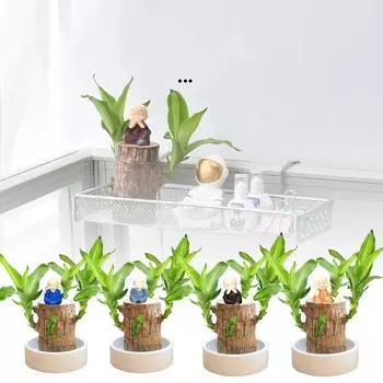 Бразильское дерево — прекрасное дерево, растущее в воде в течение четырех сезонов. Это легкое в выращивании растение, выращиваемое в воде в помещении. One Size