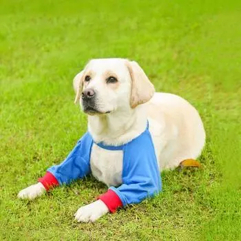 Breathable Dog Elbow Brace Adjustable Dog Shoulder Support Dog Knee Pads For Dog Front Leg L