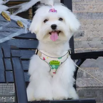 Breathable Dog Harness Soft Dog Leash Pet Supplies Dogs Chest Strap for Dogs Cats XL оранжевый