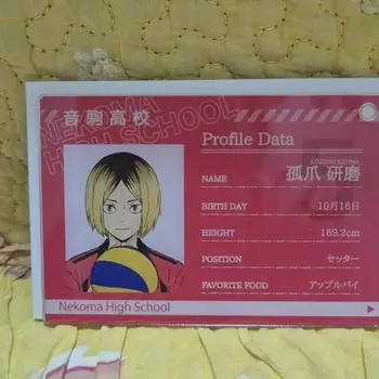 Брелок для ключей Haikyu Profile Kard Kenma