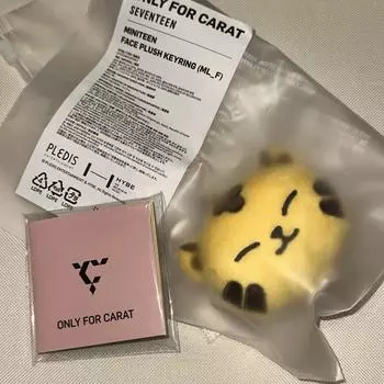 Брелок для ключей Seventeen Counterfeiters Miniteen Tam Tam Tam Hoshi Sunyoung