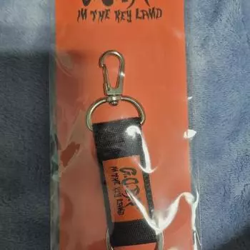 Брелок для ключей Shiny Keyland