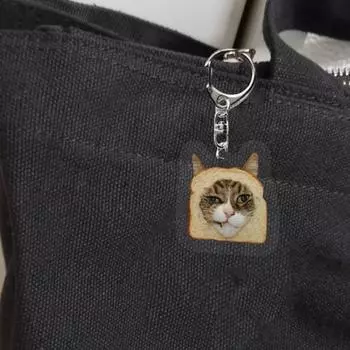 Брелок для ключей в виде кота из прозрачного акрила с толстой лямкой и застежкой-карабином, автомобильные аксессуары для сумок E