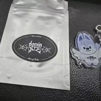 Брелок Straykids Skzoo Wolfchan Dangle