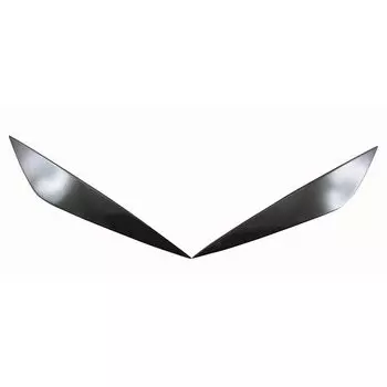 BRIGHTZ BRZ ZD8 нержавеющая фара глаз линия 2PC карбоновый тон [ HEAD-ETC-075 ] ZD 8