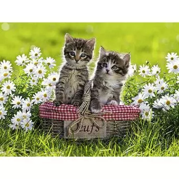 Алмазная картина Кошки Алмазная вышивка Полные круглые стразы Домашний декор 20X30CM