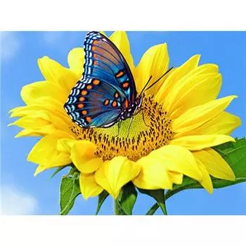 Алмазная картина Подсолнух Алмазная вышивка Бабочка Вышивка крестом Стразы Алмазная мозаика Цветок 20X30CM