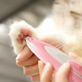 Бритва для ног для кошек, бритва для собак, электрический триммер для волос, инструмент для педикюра для ног, набор для ухода за ногами домашних животных синий