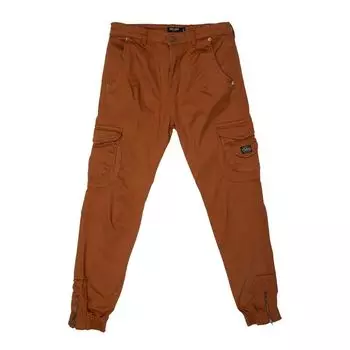 Брюки Chestnut Garden P7050M мужские DEELUXE 74 коричневый