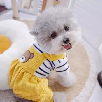 Брюки с желтым медведем, зимний комбинезон для собак с рубашкой в черную полоску, осенняя одежда для маленьких животных для щенков Йорка, комбинезон для домашних животных, одежда XS чёрный