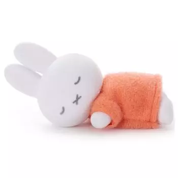 Bruna Suyasuya Friend Flocky Mascot Miffy Plush Toy Width 7cm (Red) Approx.