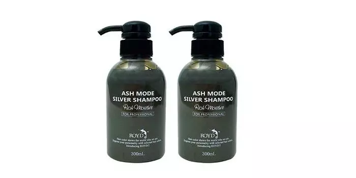 Bryces Lloyd Color Shampoo Silver 300ml Set of 2