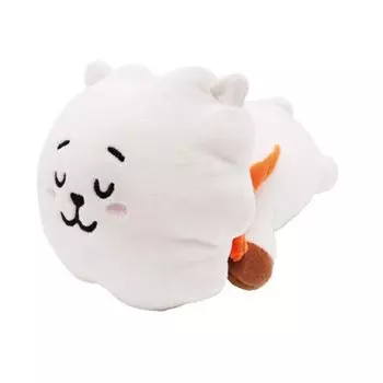 BT21 Пушистая подушка RJ