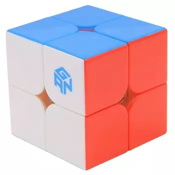 Bucubke GAN 251 M Leap 2x2 Stickerless Magnetic Speed Magic Competition Cube GAN251 Leap 2x2x2 63 Magnetic Puzzle Cube Toy Internal Primary (Frosted
