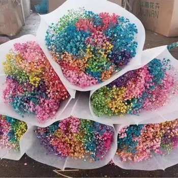 Букет эониума из сухоцветов Яркий цвет Не выцветает Простота в уходе Натуральная сушеная гипсофила Декорация ко Дню святого Валентина